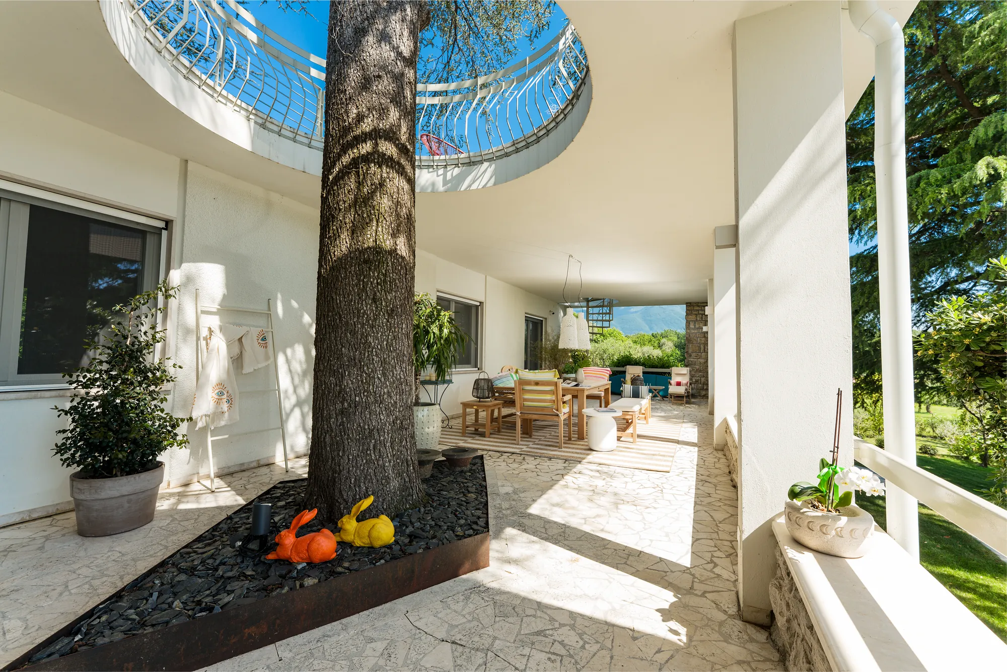The 60-year-old Lebanese cedar rising through a circular opening in the ceiling of the main terrace