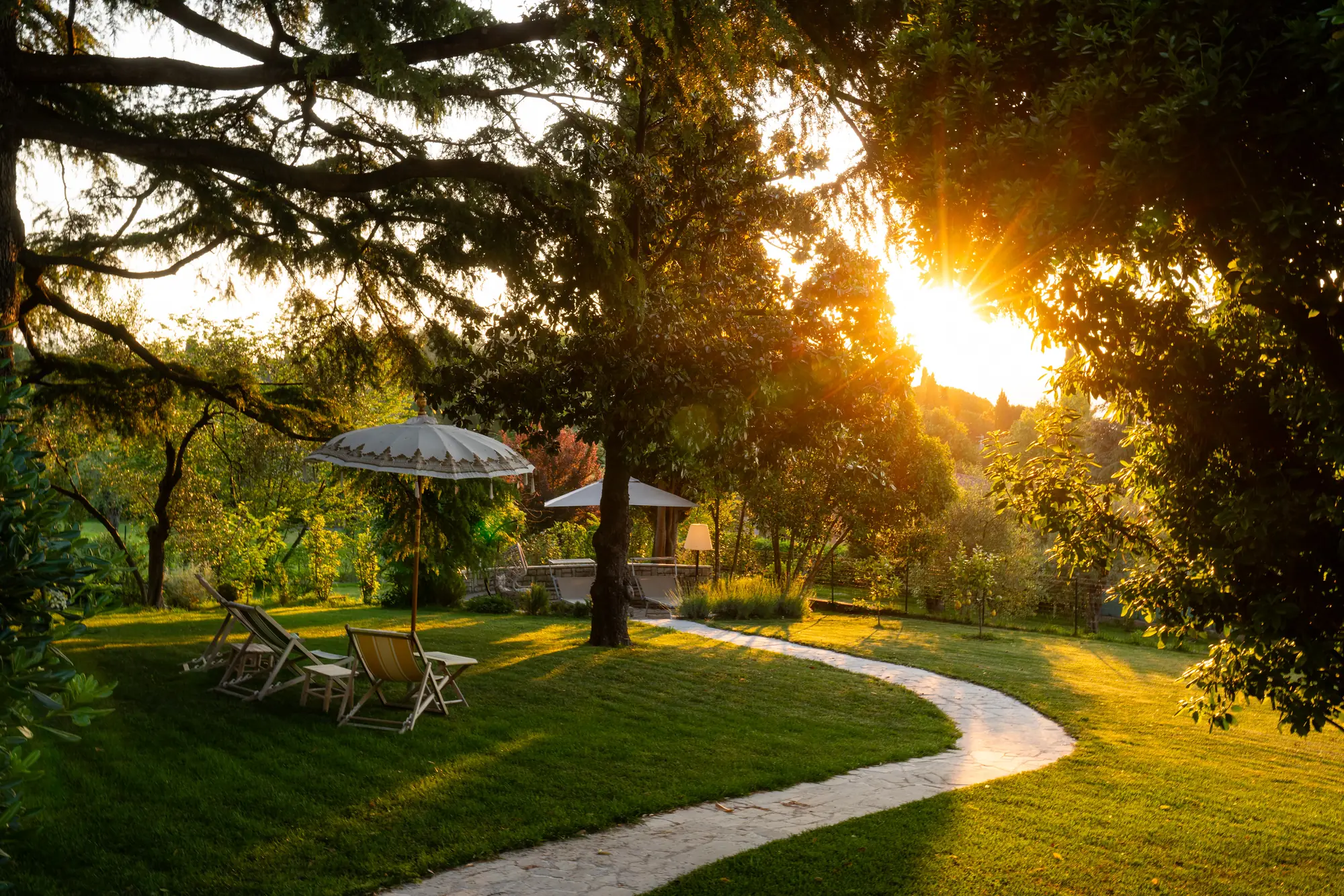 Sunset light streaming through a cedar over a winding garden path and deck chairs