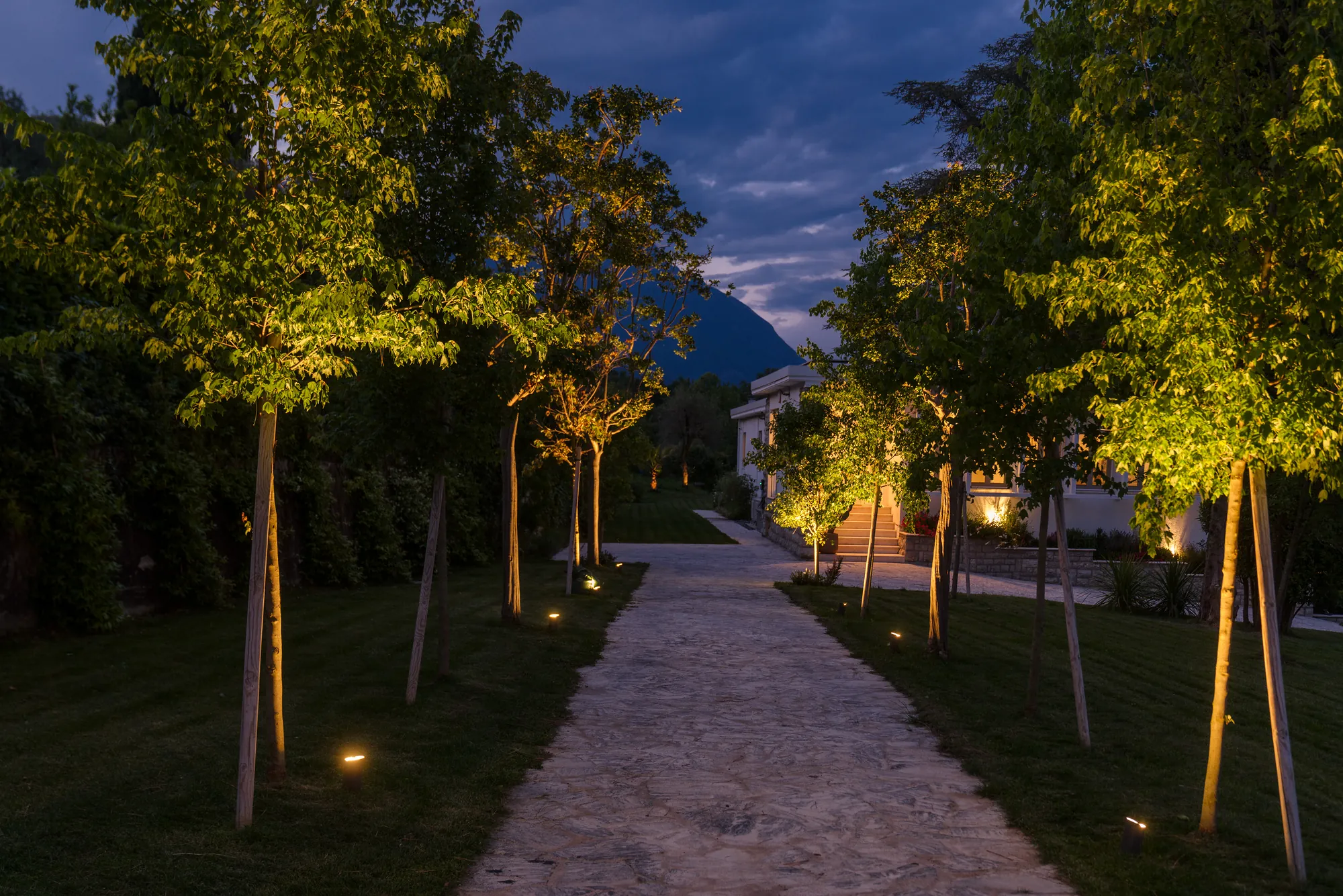The tree-lined driveway lit by garden lights at night